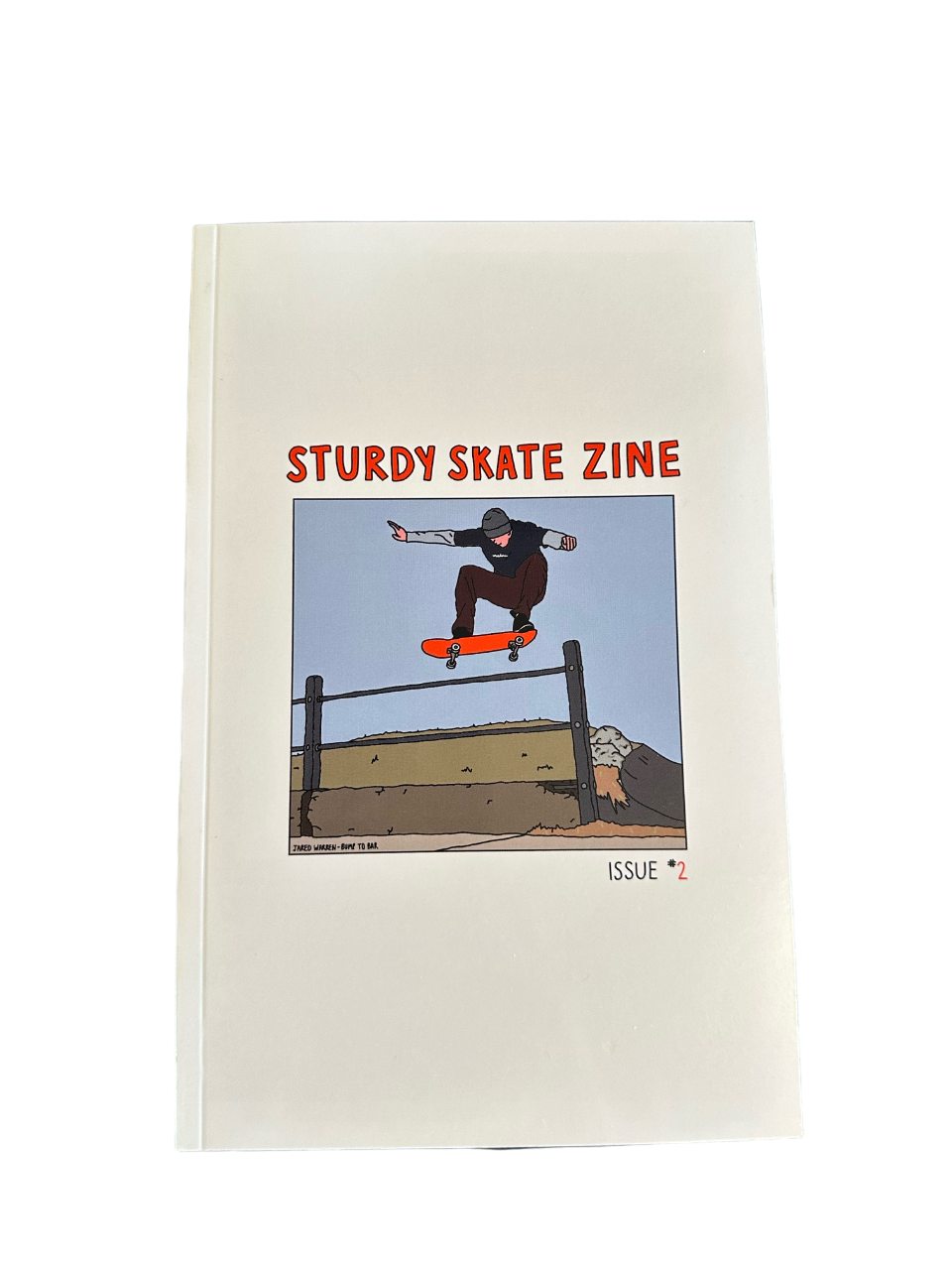 Sturdy Skate Zine Vol #2