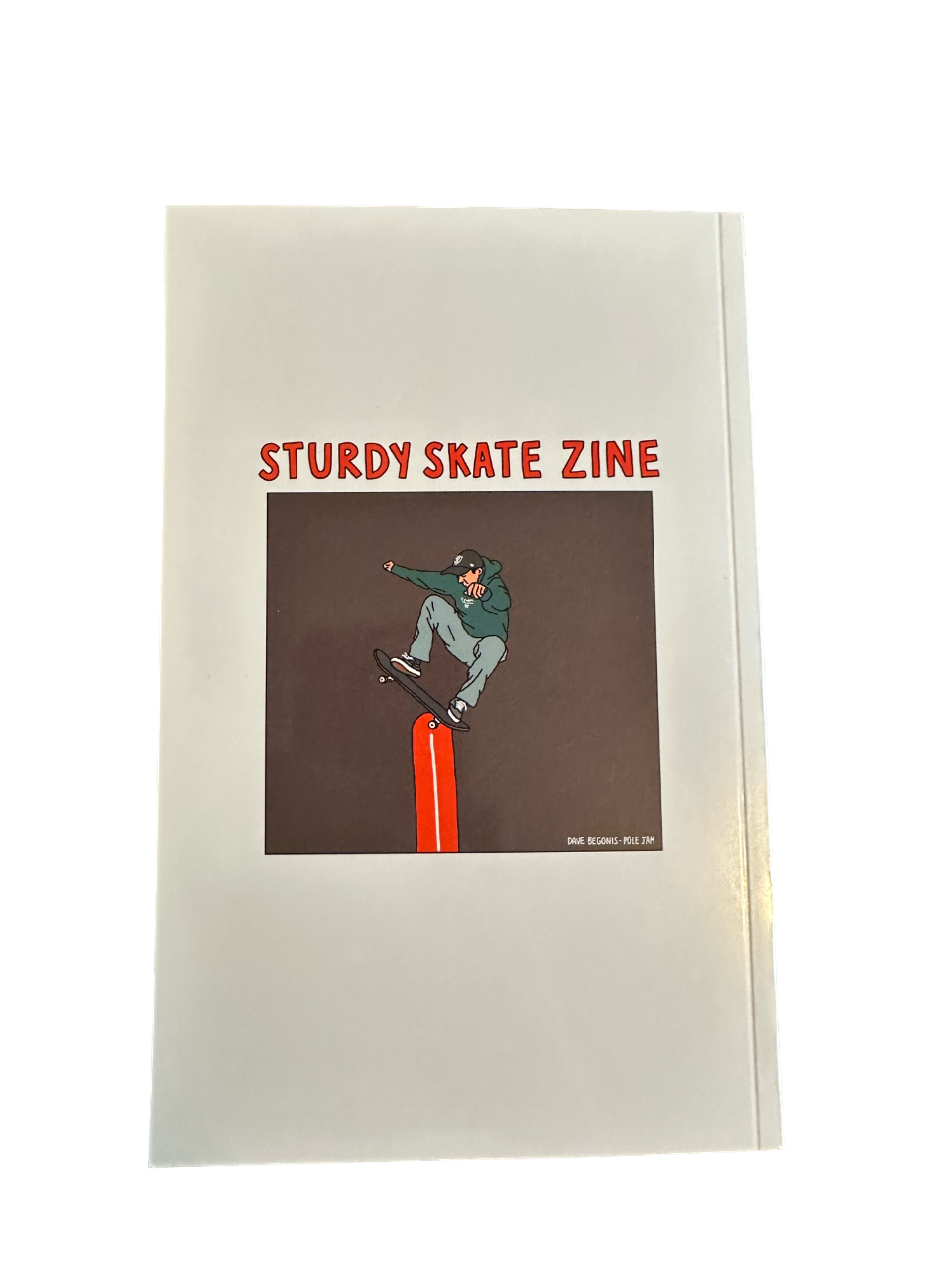 Sturdy Skate Zine Vol #2